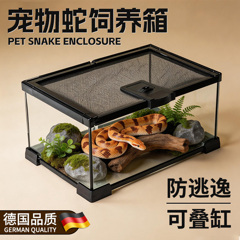 成体饲养环境