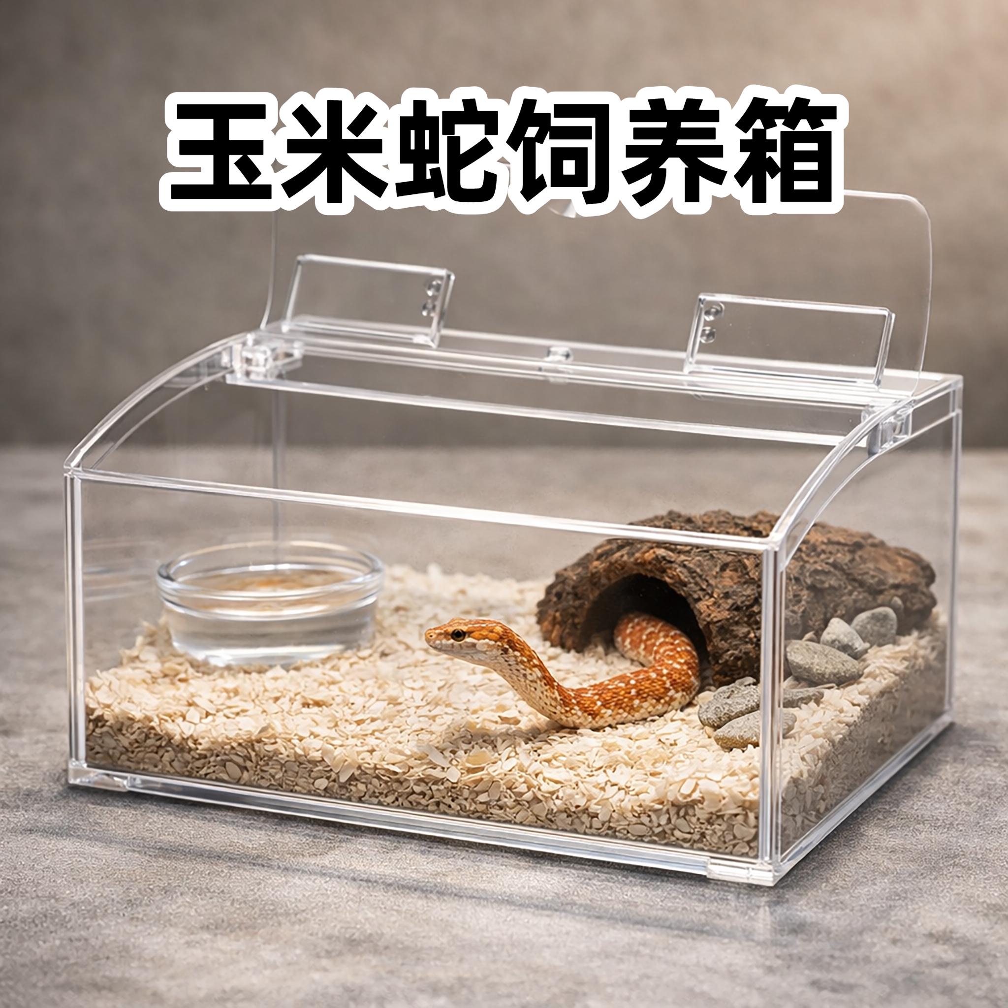 饲养箱布置
