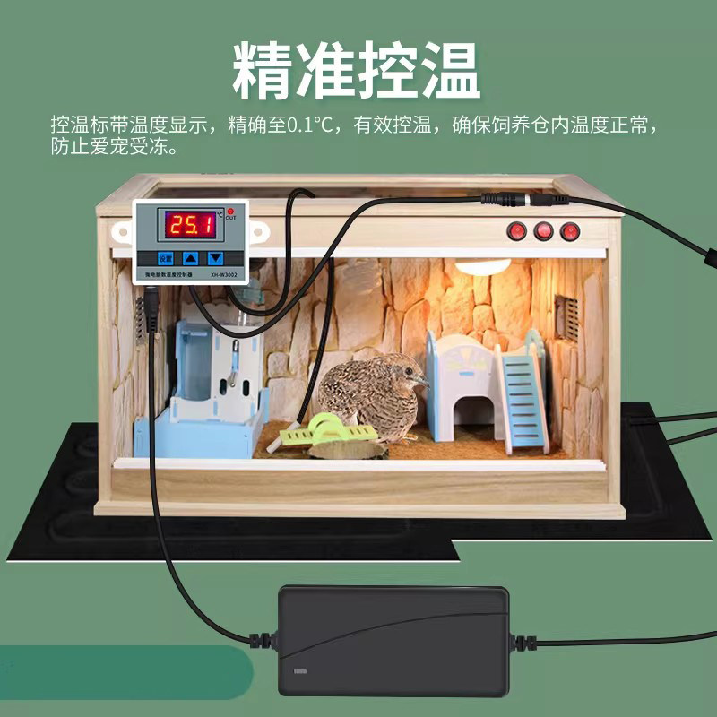 新手养蛇设备清单与预算全指南:从100元到2000元,不同预算的配置方案与避坑建议